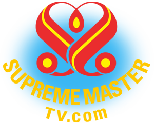 Supreme Master Television logo