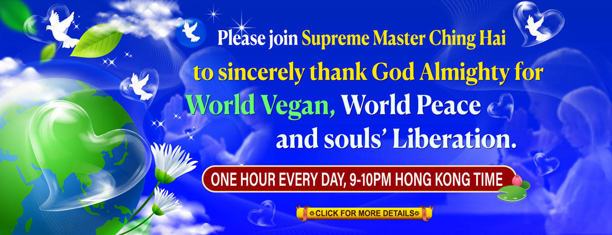 Supreme Master Television Smtv English