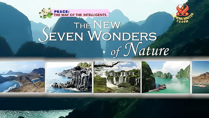 The New Wonders Nature - English