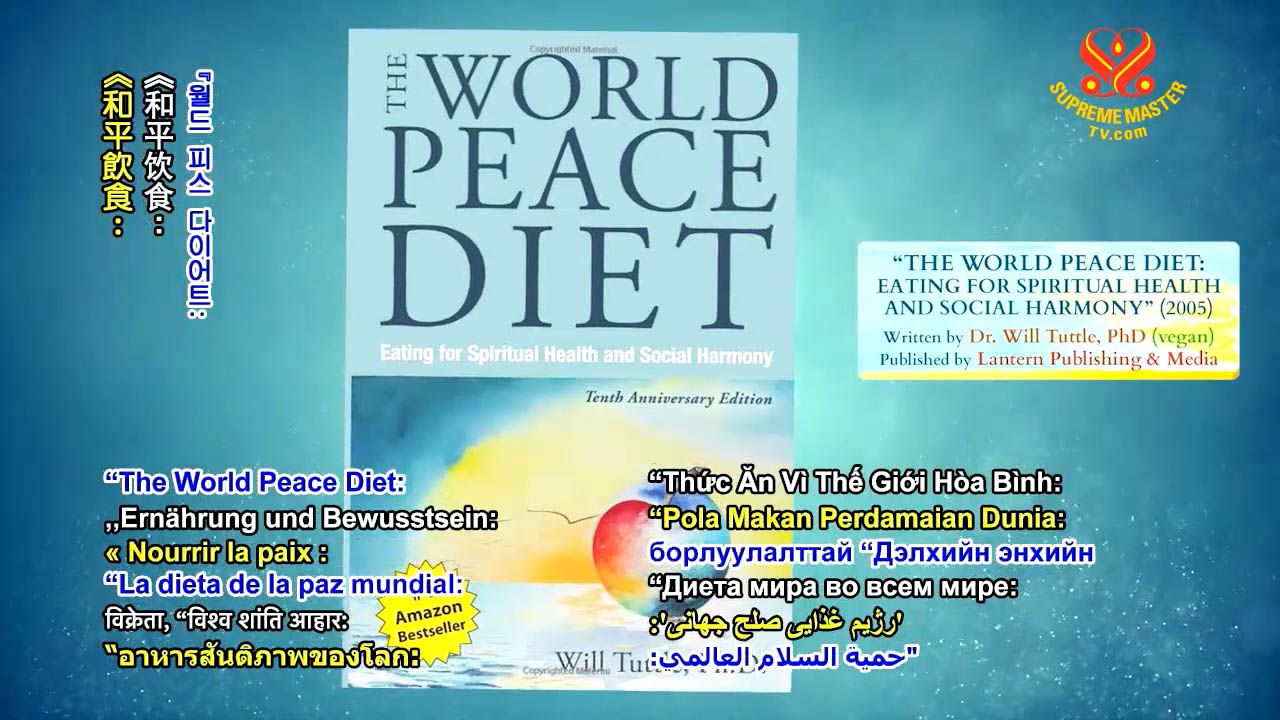 World Peace Diet Faber Discover The World's Best Books Shop,