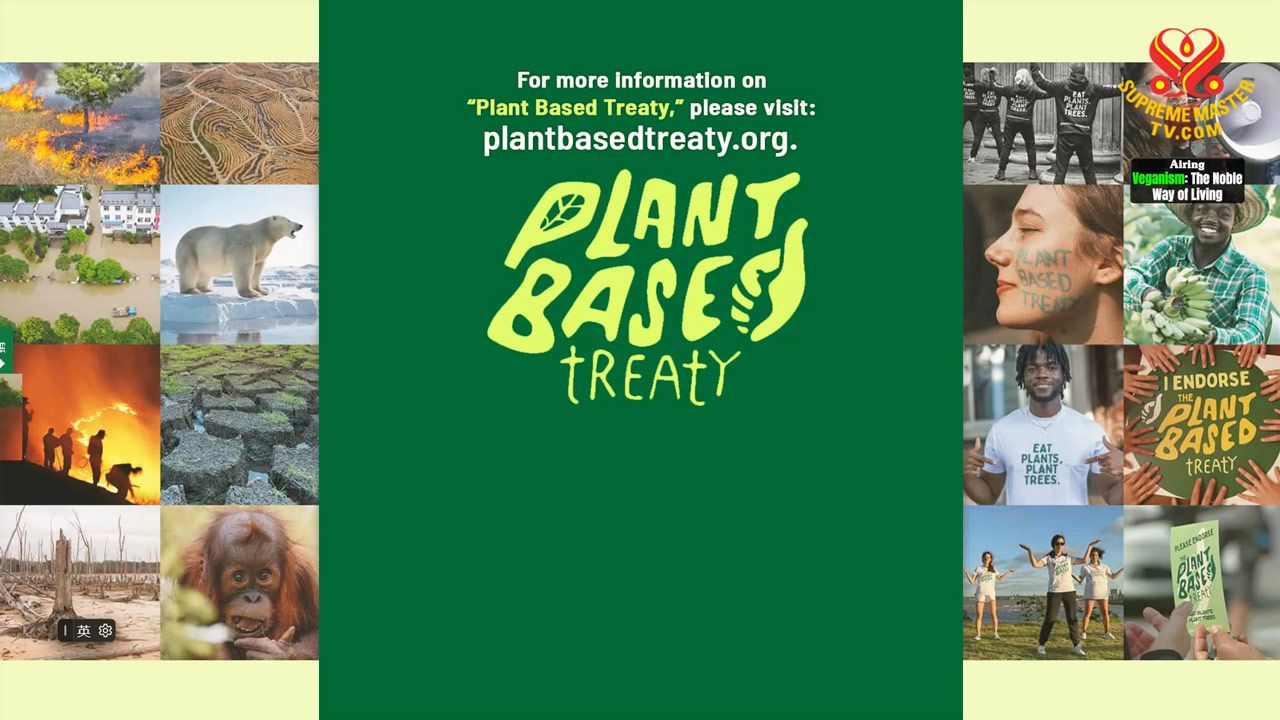 Multi-part Series of Courage and Compassion on the Street, Part 22: Plant  Based Treaty - - English